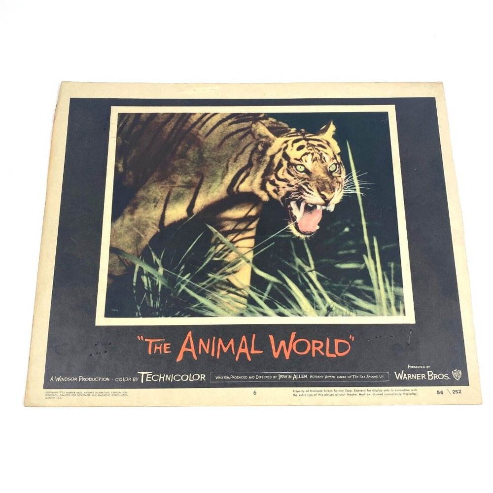 Set of 2‎ The Animal World 1956 Lobby Cards Movie Posters Irwin Allen Vintage